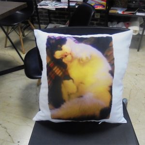 Ιδέα για μαξιλάρι με φωτογραφία για δώρο